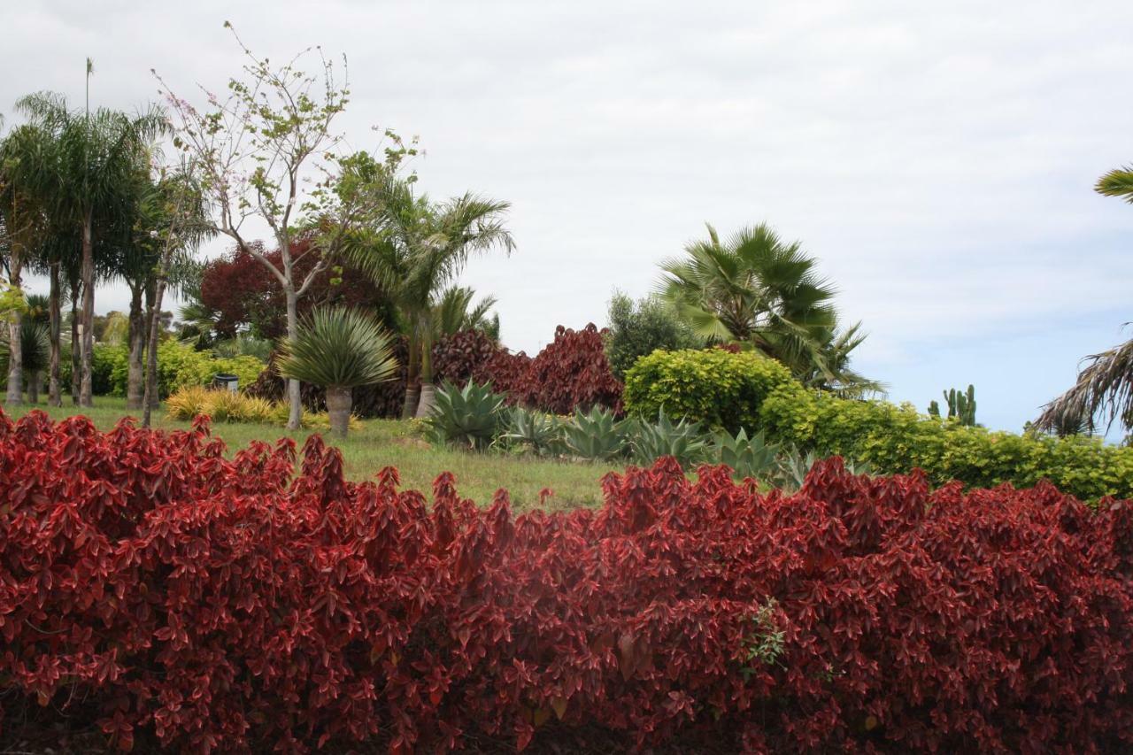 סנטה אורסולה Sissi Boutique - The Terrace Between Ocean And Teide מראה חיצוני תמונה